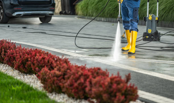 Professional Pressure Washing Services in Springdale, SC